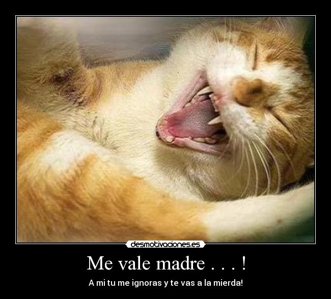 Me vale madre . . . ! - A mi tu me ignoras y te vas a la mierda!