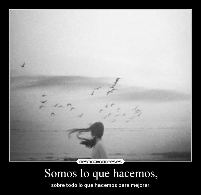 Somos lo que hacemos, - sobre todo lo que hacemos para mejorar.