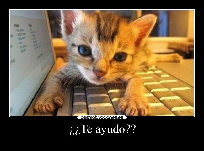 carteles gatito computadora ayudar desmotivaciones