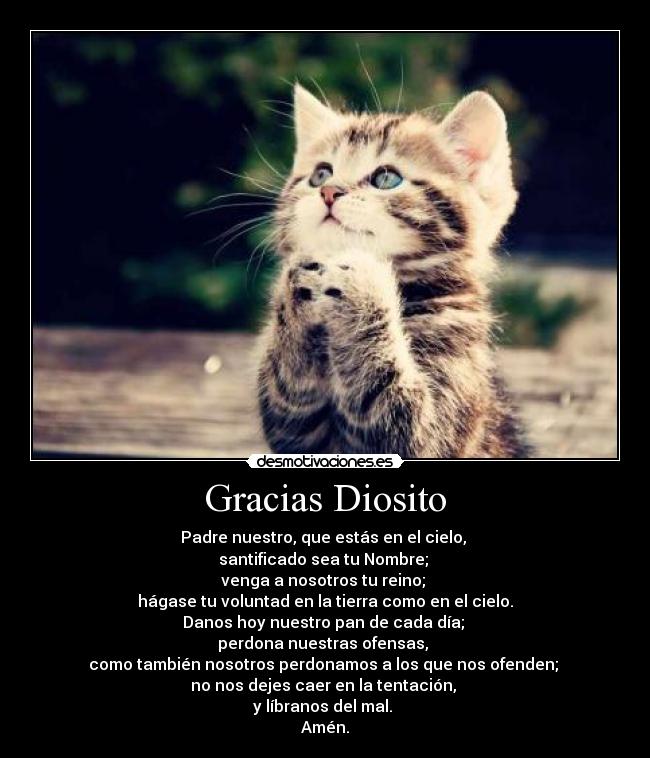 Gracias Diosito -