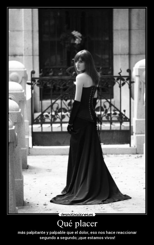 carteles placer desmotivaciones