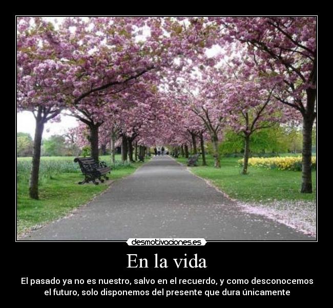 carteles vida desmotivaciones