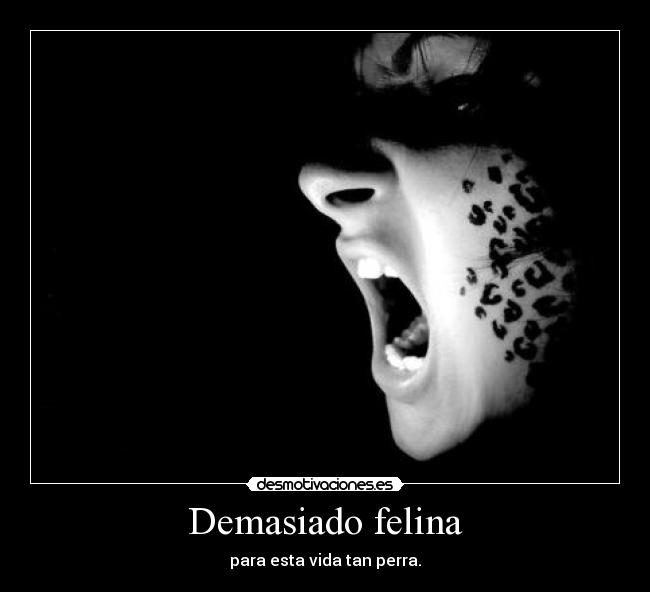 Demasiado felina - para esta vida tan perra.