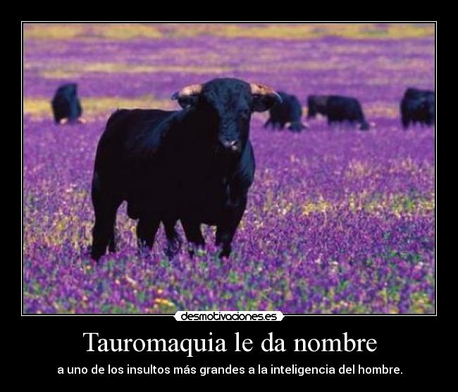 Tauromaquia le da nombre -