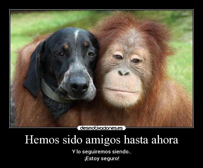 Hemos sido amigos hasta ahora - Y lo seguiremos siendo..
¡Estoy seguro!