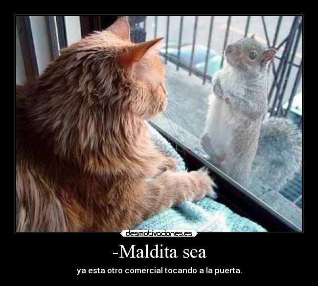 -Maldita sea - 