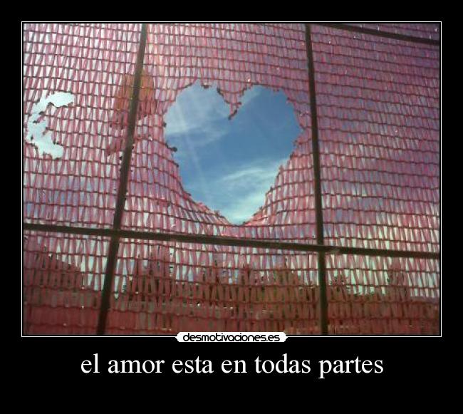 el amor esta en todas partes -