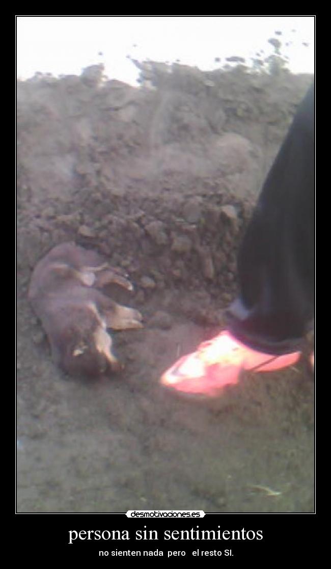 persona sin sentimientos - no sienten nada pero el resto SI.