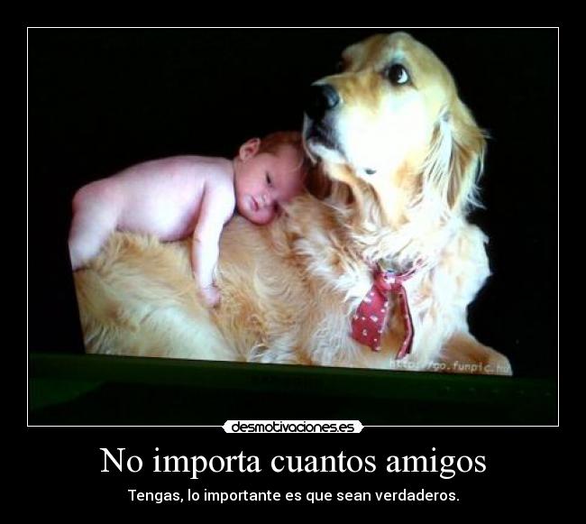 carteles amigos 100000000 desmotivaciones