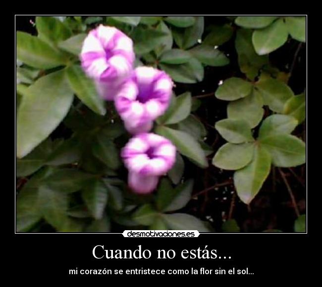 Cuando no estás... - 