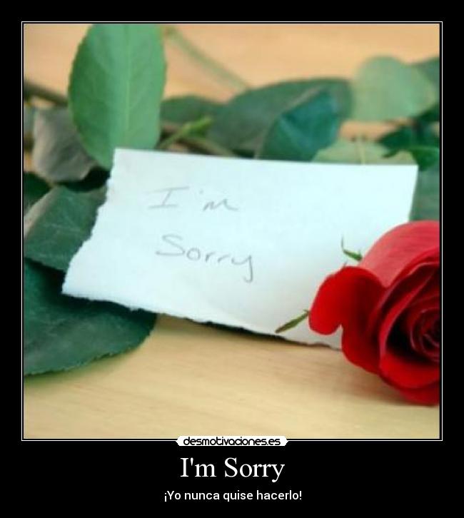 Im Sorry -