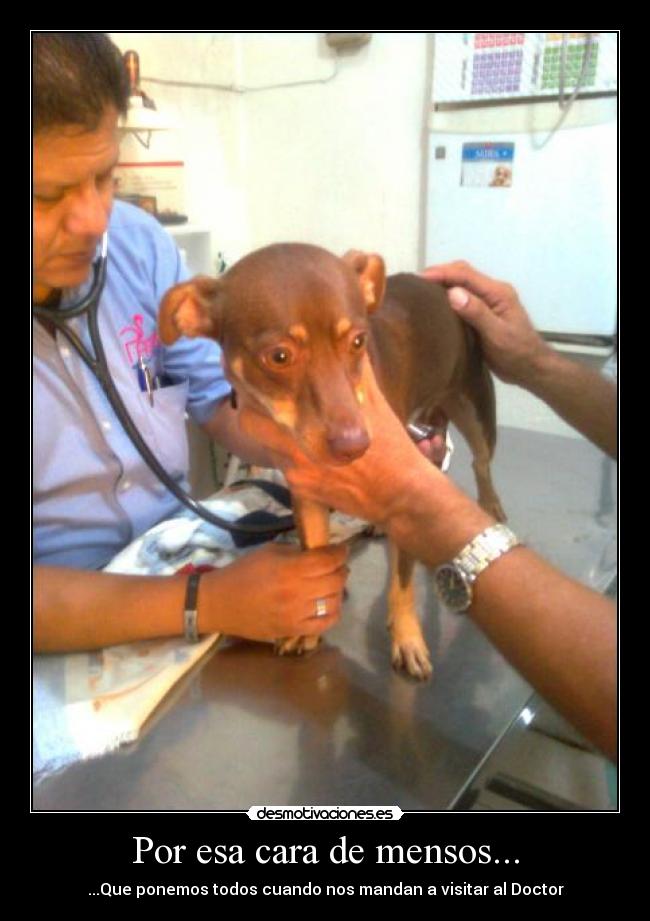 Por esa cara de mensos... -