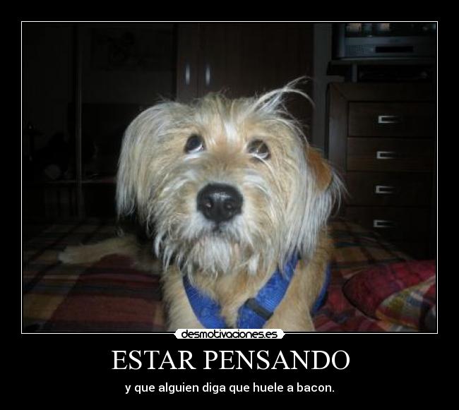 carteles coment please desmotivaciones