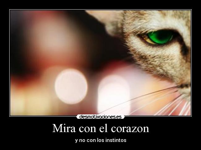 Mira con el corazon - 