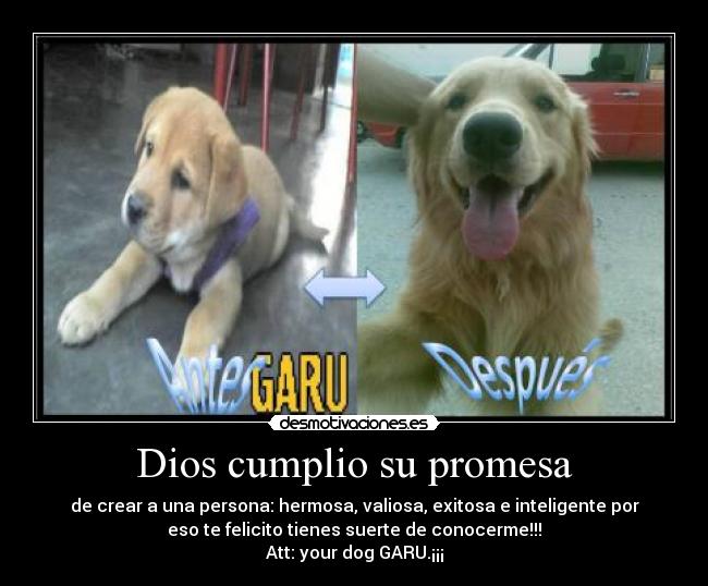 Dios cumplio su promesa - de crear a una persona: hermosa, valiosa, exitosa e inteligente por
eso te felicito tienes suerte de conocerme!!!
Att: your dog GARU.¡¡¡