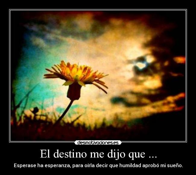 El destino me dijo que ... -