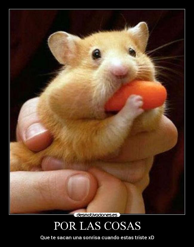 carteles estrellita desmotivaciones