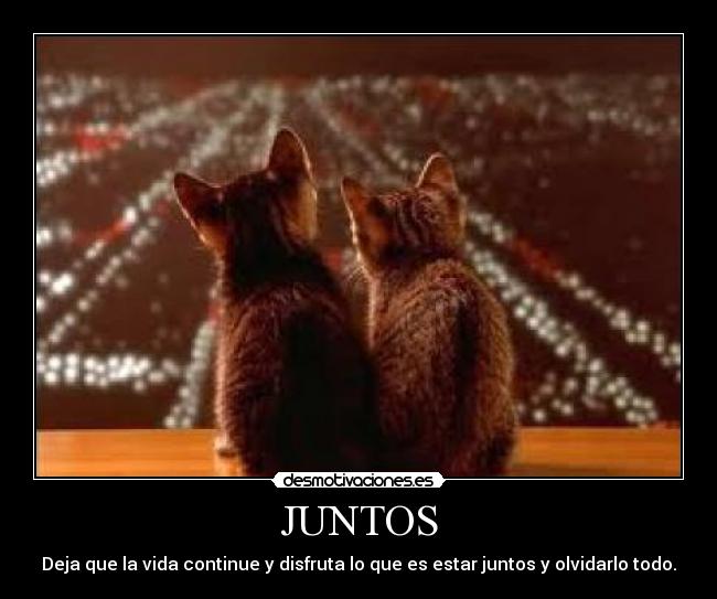 JUNTOS - Deja que la vida continue y disfruta lo que es estar juntos y olvidarlo todo.