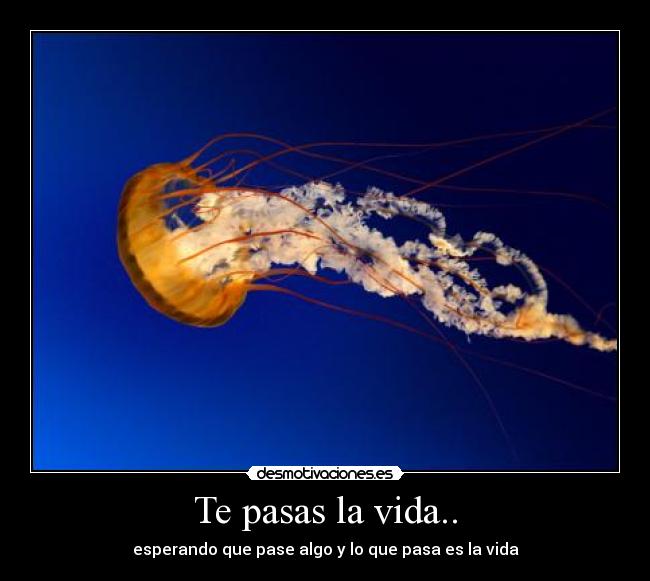 carteles vida desmotivaciones