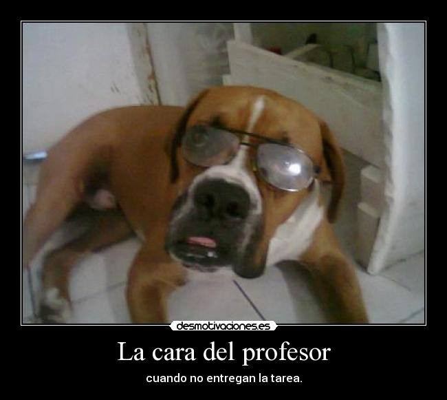 La cara del profesor - cuando no entregan la tarea.