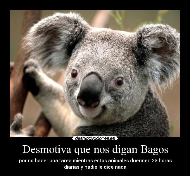 carteles zimplemente picolinjx desmotivaciones