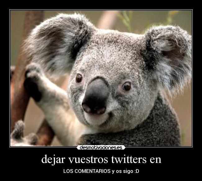 dejar vuestros twitters en - LOS COMENTARIOS y os sigo :D