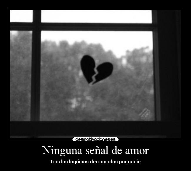 Ninguna señal de amor - tras las lágrimas derramadas por nadie