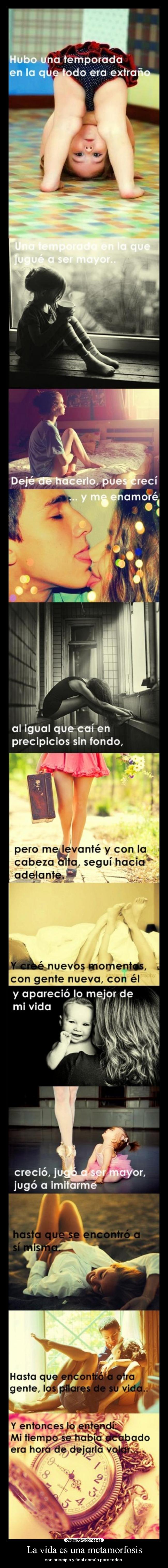 La vida es una metamorfosis - 