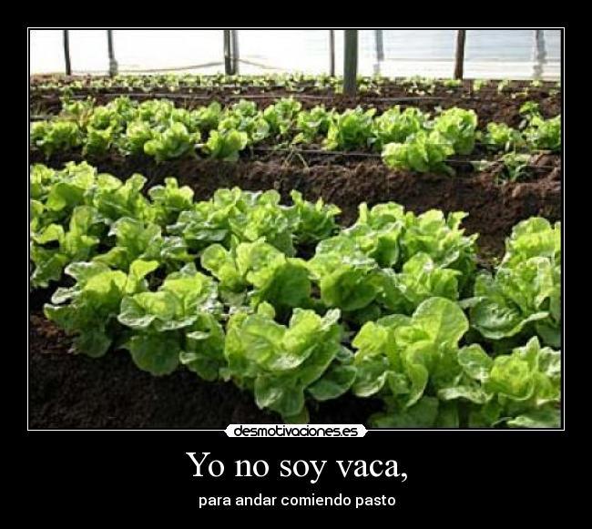 carteles desmotivaciones desmotivaciones