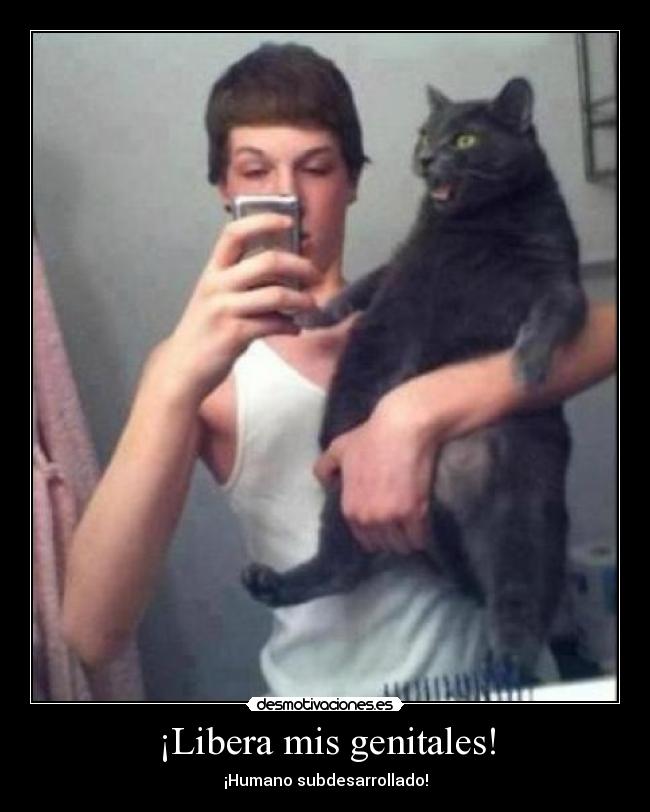 ¡Libera mis genitales! - ¡Humano subdesarrollado!