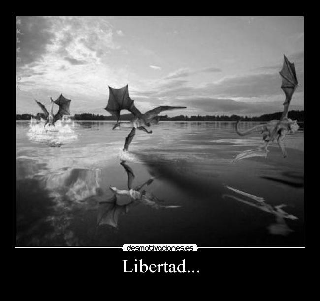 Libertad... - 