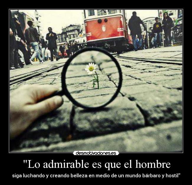 Lo admirable es que el hombre - siga luchando y creando belleza en medio de un mundo bárbaro y hostil