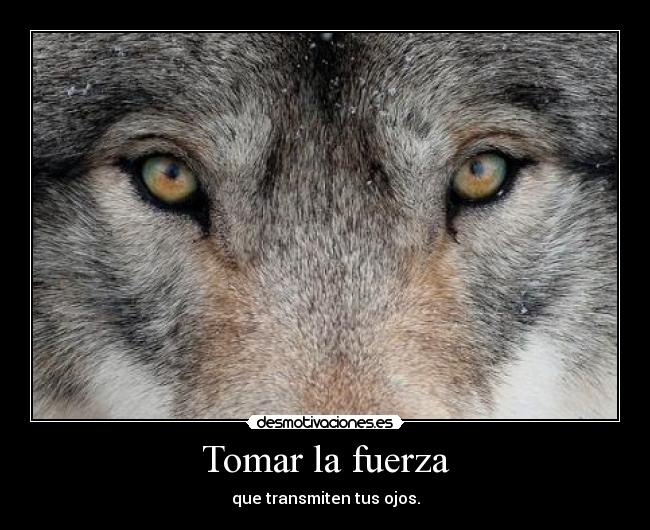 Tomar la fuerza - que transmiten tus ojos.