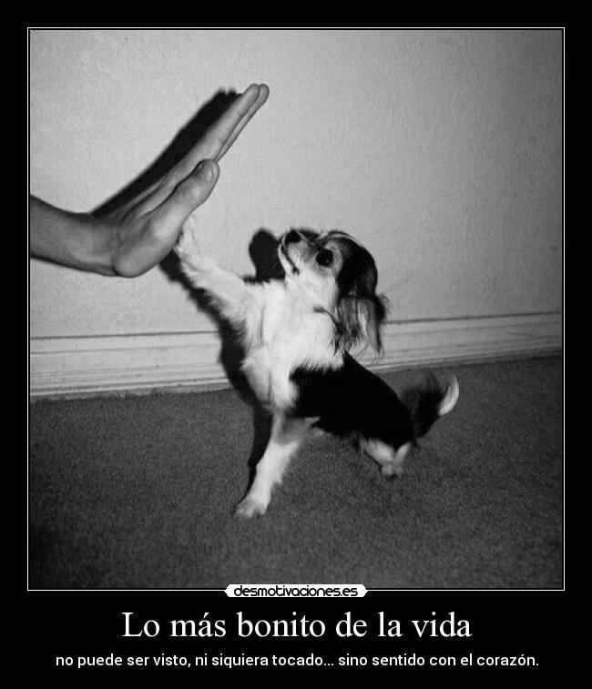 Lo más bonito de la vida - no puede ser visto, ni siquiera tocado... sino sentido con el corazón.