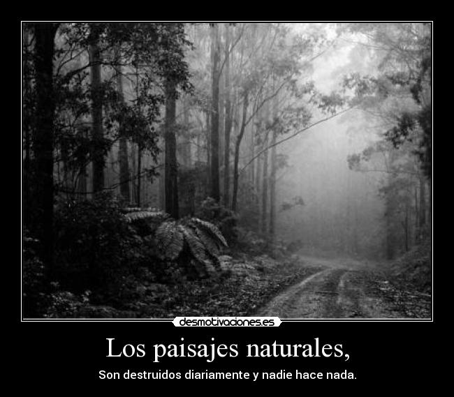 Los paisajes naturales, - Son destruidos diariamente y nadie hace nada.
