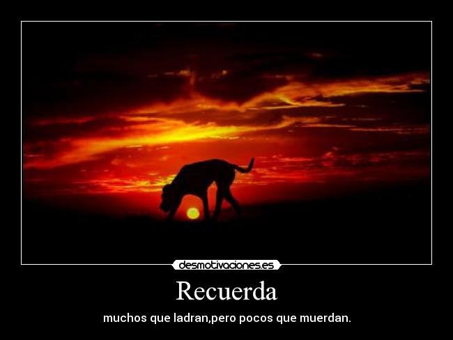 Recuerda - muchos que ladran,pero pocos que muerdan.