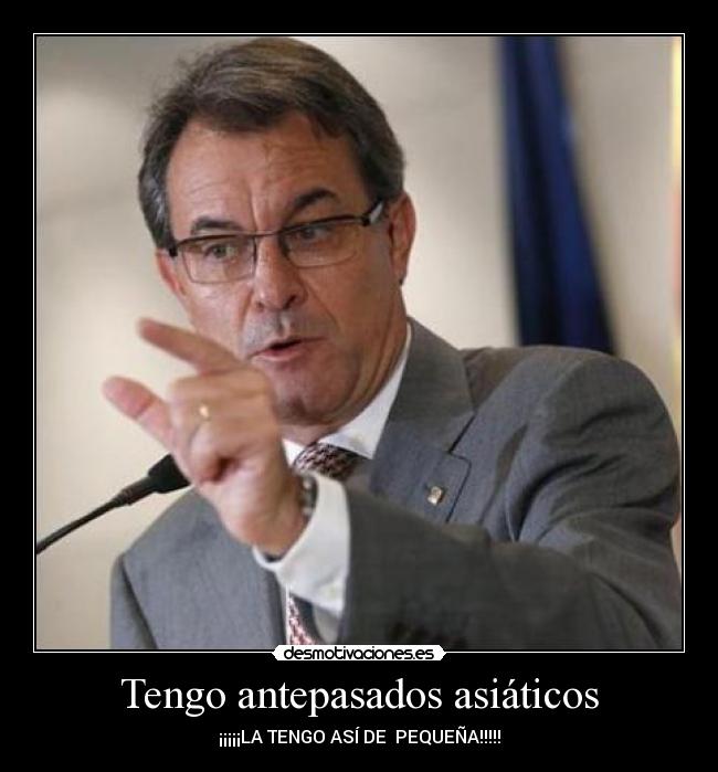 carteles chino desmotivaciones