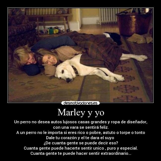 Marley y yo - Un perro no desea autos lujosos casas grandes y ropa de diseñador,
con una vara se sentirá feliz.
A un perro no le importa si eres rico o pobre, astuto o torpe o tonto
Dale tu corazón y el te dara el suyo 
¿De cuanta gente se puede decir eso?
Cuanta gente puede hacerte sentir unico , puro y especial.
Cuanta gente te puede hacer sentir extraordinario...