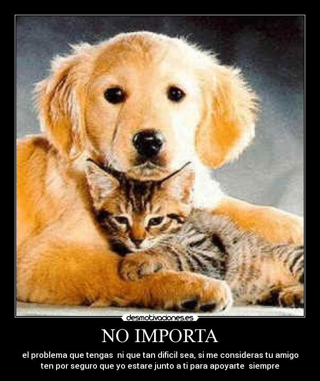 NO IMPORTA - el problema que tengas  ni que tan dificil sea, si me consideras tu amigo
ten por seguro que yo estare junto a ti para apoyarte  siempre