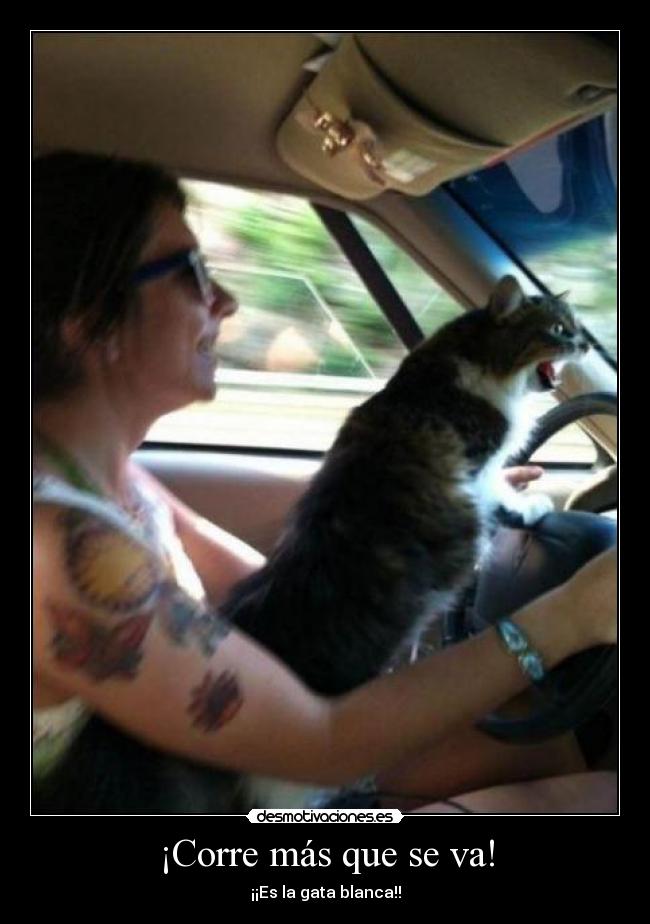 ¡Corre más que se va! - 