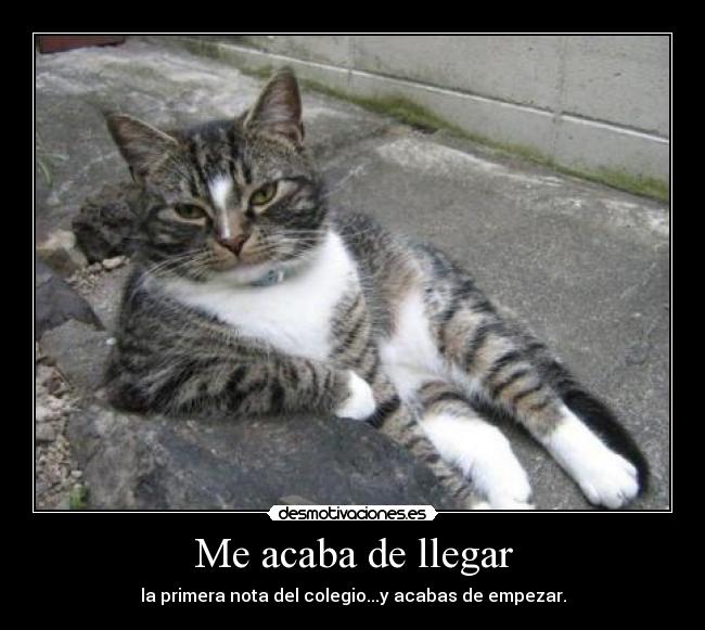 Me acaba de llegar - la primera nota del colegio...y acabas de empezar.