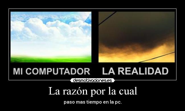 La razón por la cual -