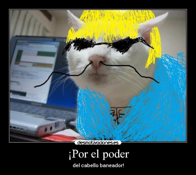 carteles clan hoygan clanhoygan clan hoygan clan hoygan clanhoygan catkillers walt ban desmotivaciones