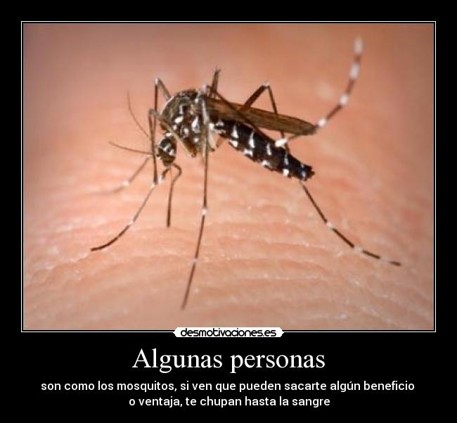 Algunas personas - son como los mosquitos, si ven que pueden sacarte algún beneficio 
o ventaja, te chupan hasta la sangre