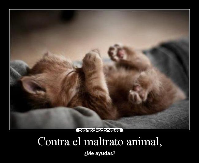 Contra el maltrato animal, -