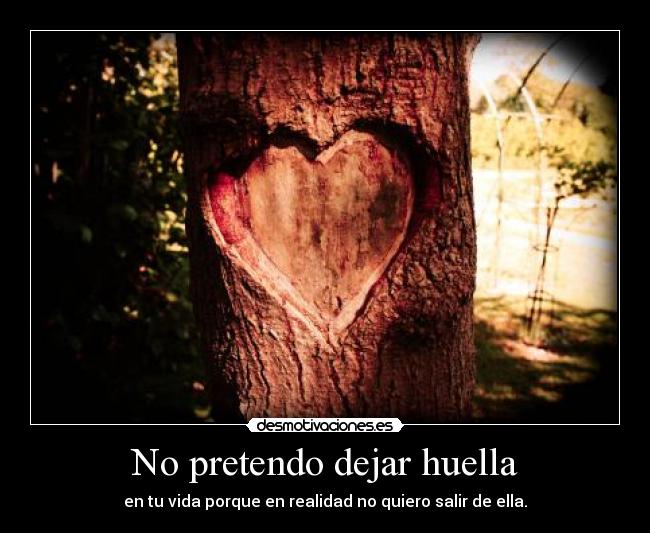 No pretendo dejar huella - en tu vida porque en realidad no quiero salir de ella.