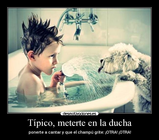 carteles champu desmotivaciones