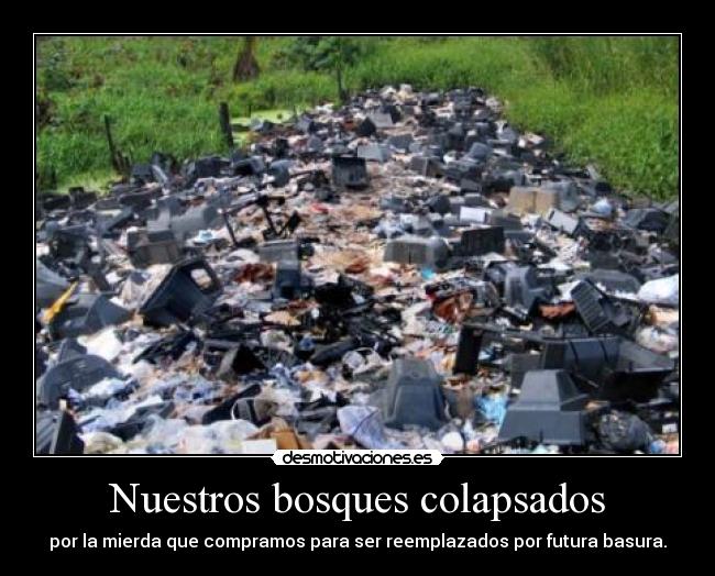 Nuestros bosques colapsados - por la mierda que compramos para ser reemplazados por futura basura.