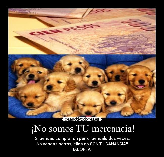 ¡No somos TU mercancia! -
