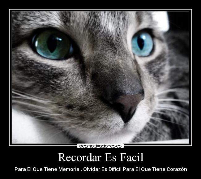 carteles recordar desmotivaciones